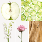 Preview: Duftnoten: Apfel, Gurke, Maiglöckchen, Rose, Sandelholz
